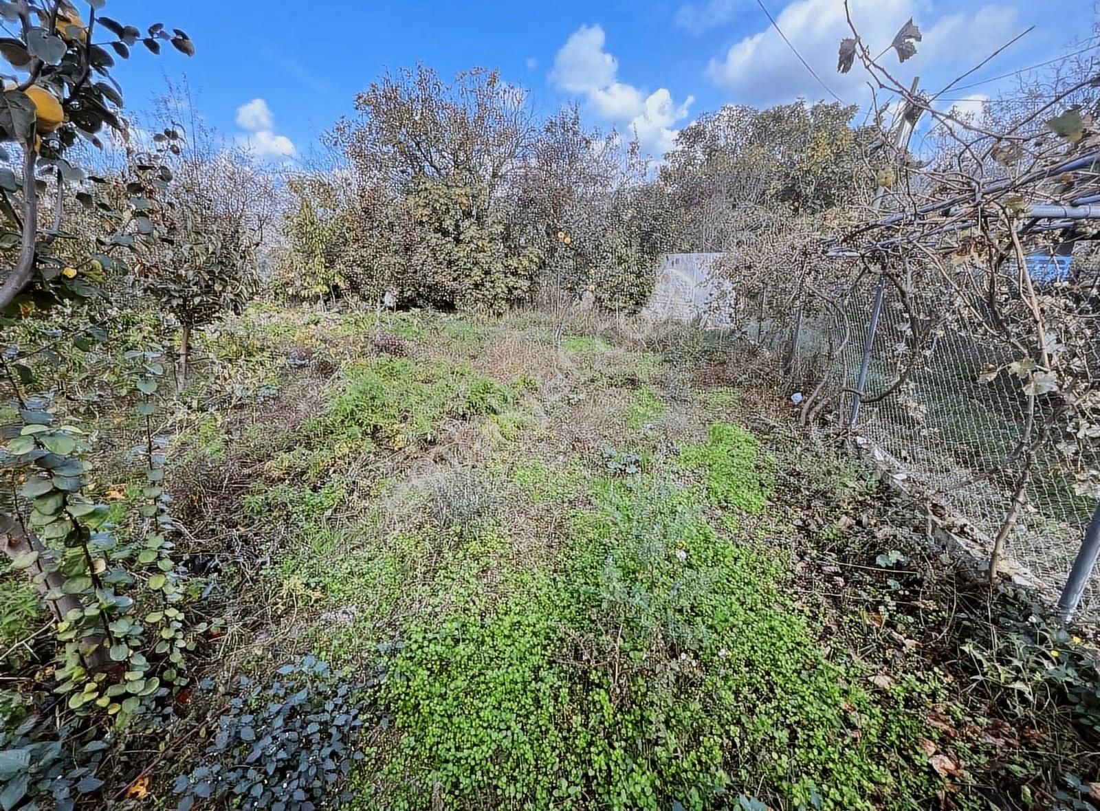 Düğerek Ortaköy Arası Villalara Çok Yakın Harika Parsel - Görsel 8