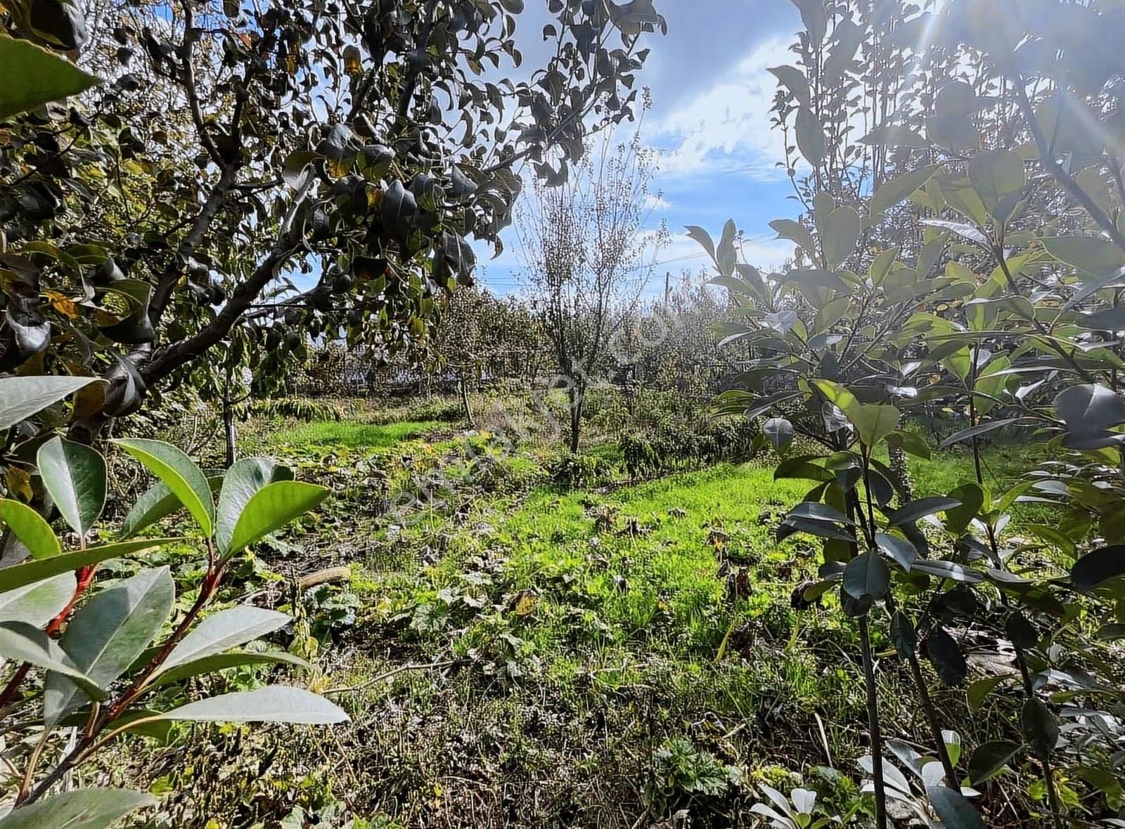 Düğerek Ortaköy Arası Villalara Çok Yakın Harika Parsel - Görsel 3