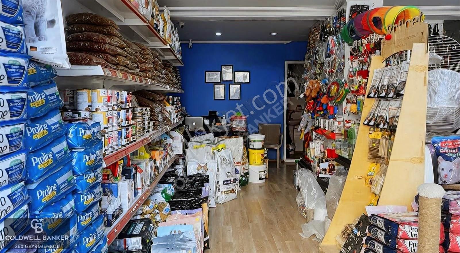 Devren Kiralık Petshop Bornova Hükümet Konağı Yakını - Görsel 9