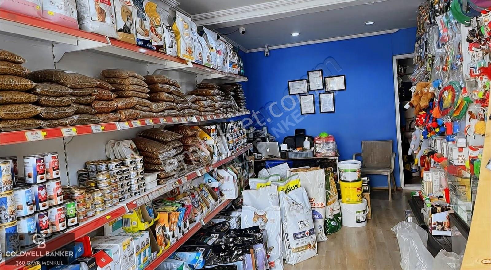 Devren Kiralık Petshop Bornova Hükümet Konağı Yakını - Görsel 17