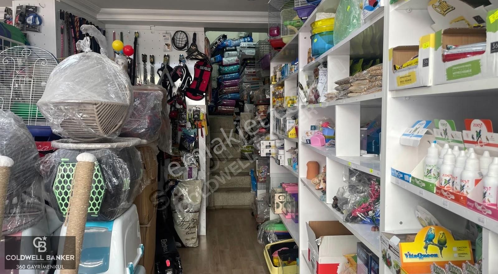Devren Kiralık Petshop Bornova Hükümet Konağı Yakını - Görsel 7