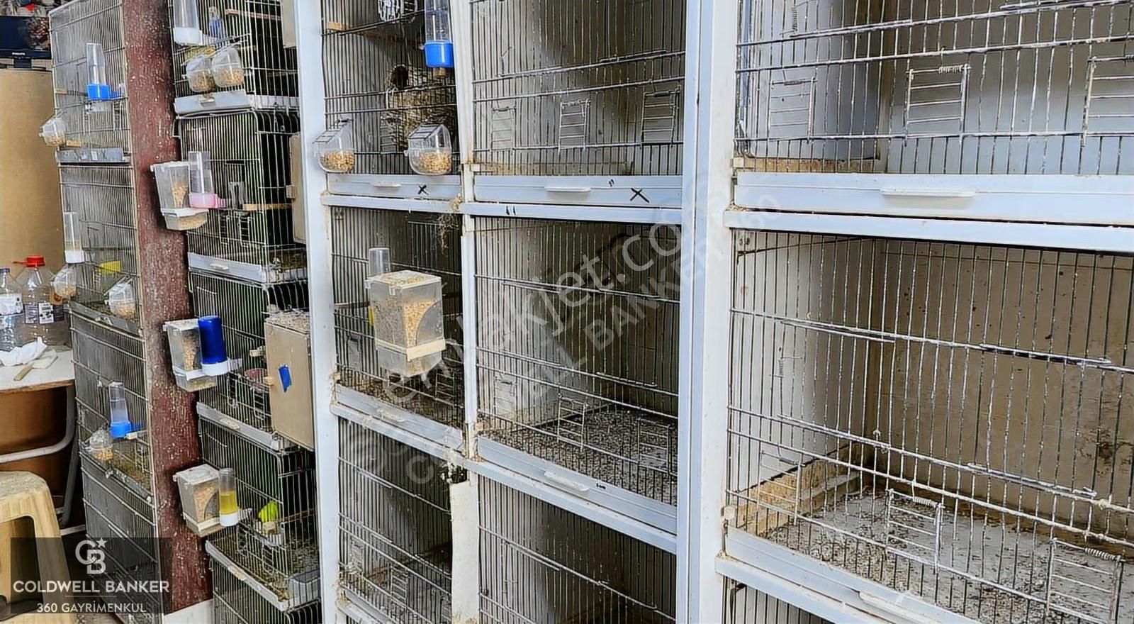 Devren Kiralık Petshop Bornova Hükümet Konağı Yakını - Görsel 15