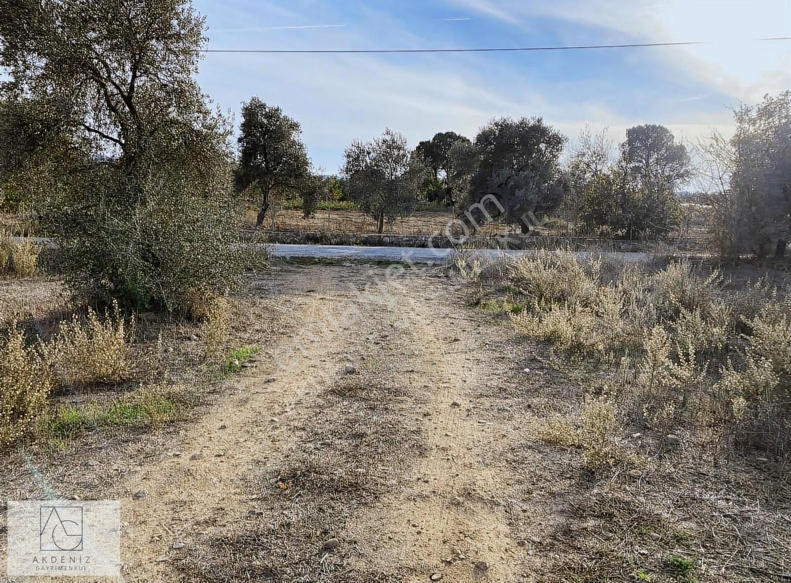 Kuzyaka Köyünde Asfalta Cephe Satılık Dümdüz Tarla - Görsel 17