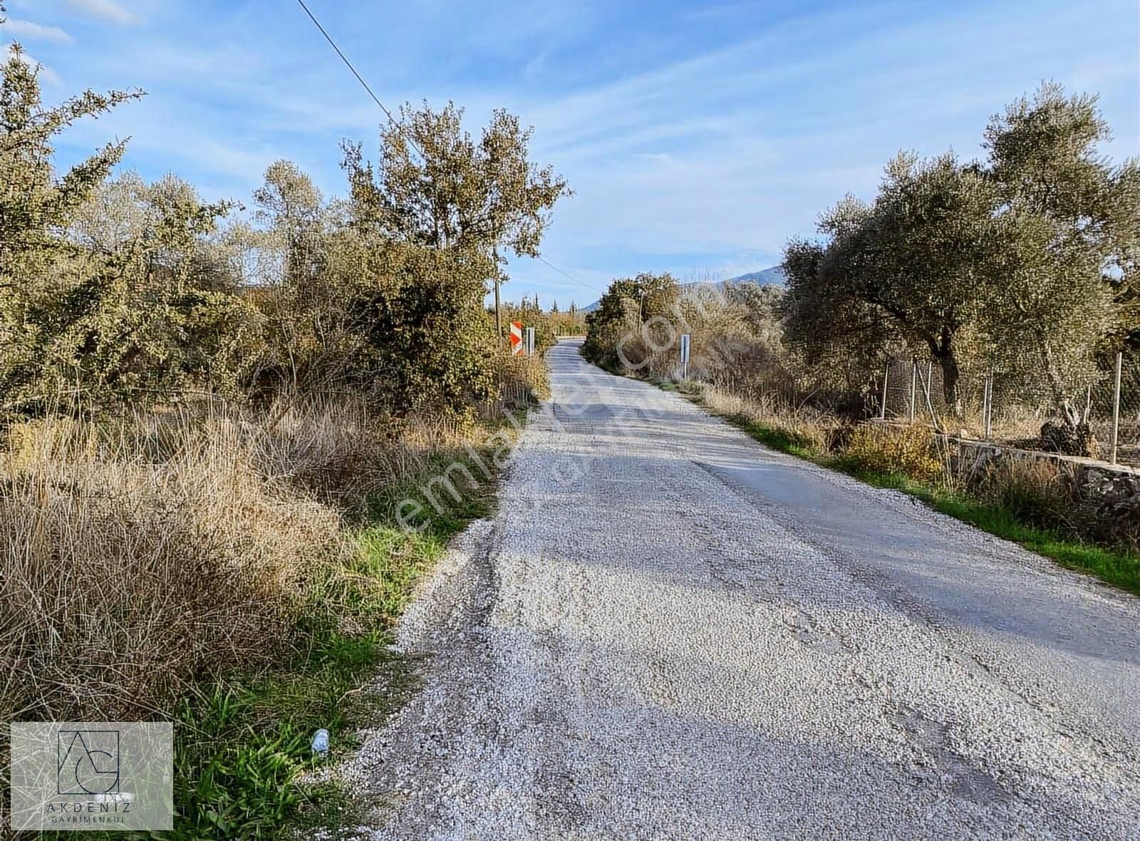 Kuzyaka Köyünde Asfalta Cephe Satılık Dümdüz Tarla - Görsel 11
