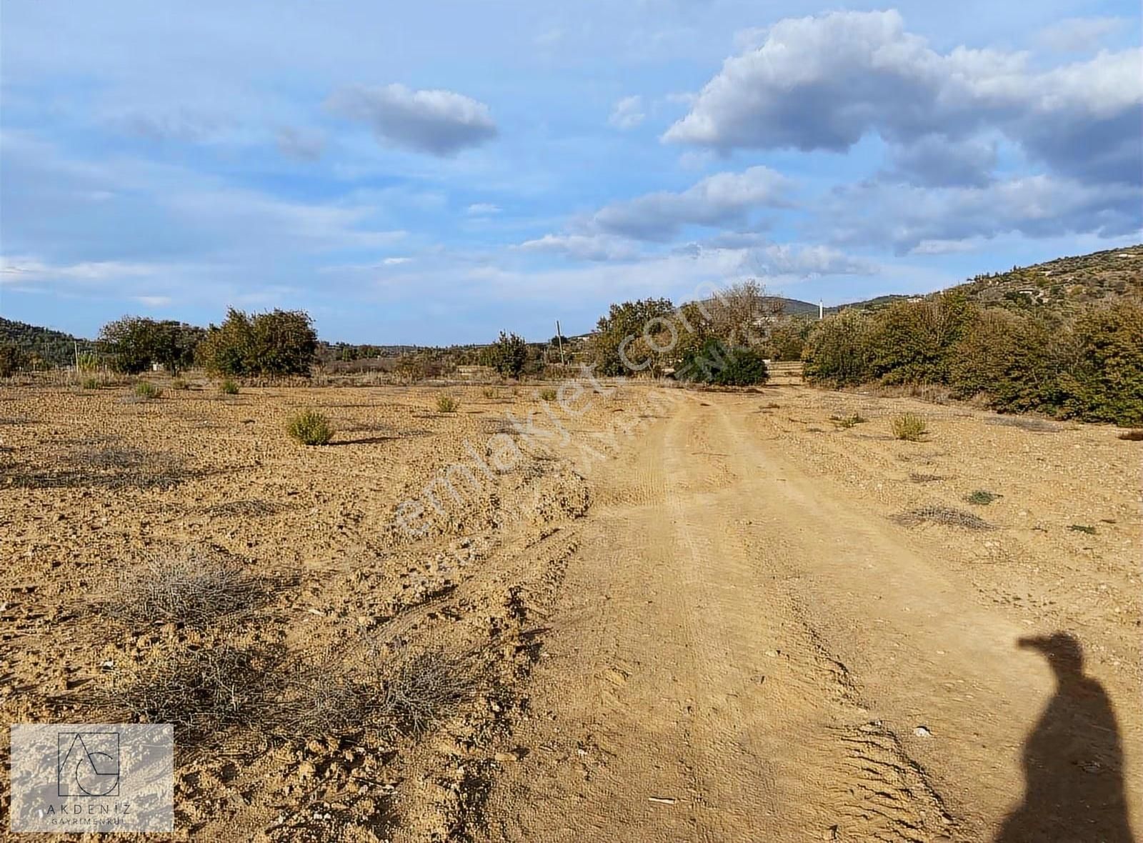 Kuzyaka Köyünde Asfalta Cephe Satılık Dümdüz Tarla - Görsel 19
