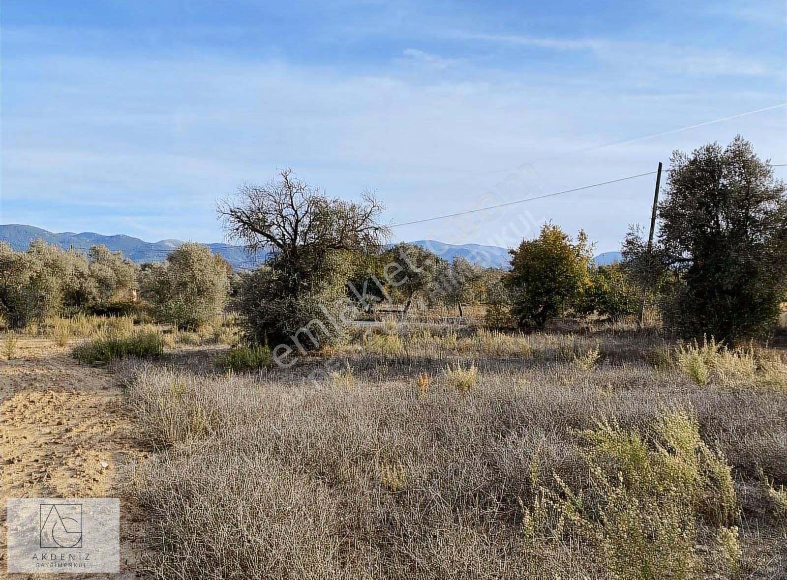 Kuzyaka Köyünde Asfalta Cephe Satılık Dümdüz Tarla - Görsel 5