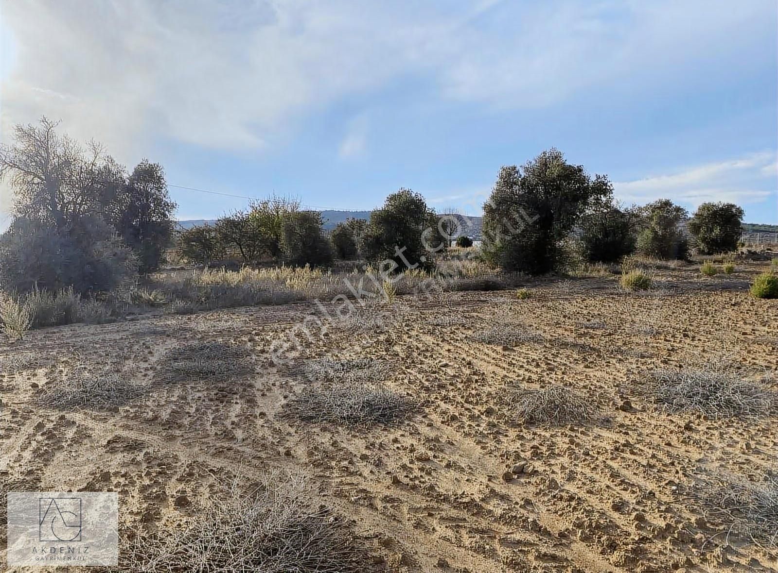 Kuzyaka Köyünde Asfalta Cephe Satılık Dümdüz Tarla - Görsel 18