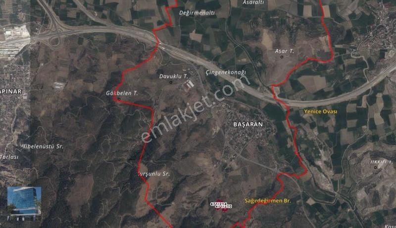 İzmir Aydın Otobanına 6 Km Mesafede Zeytinlik - Görsel 10