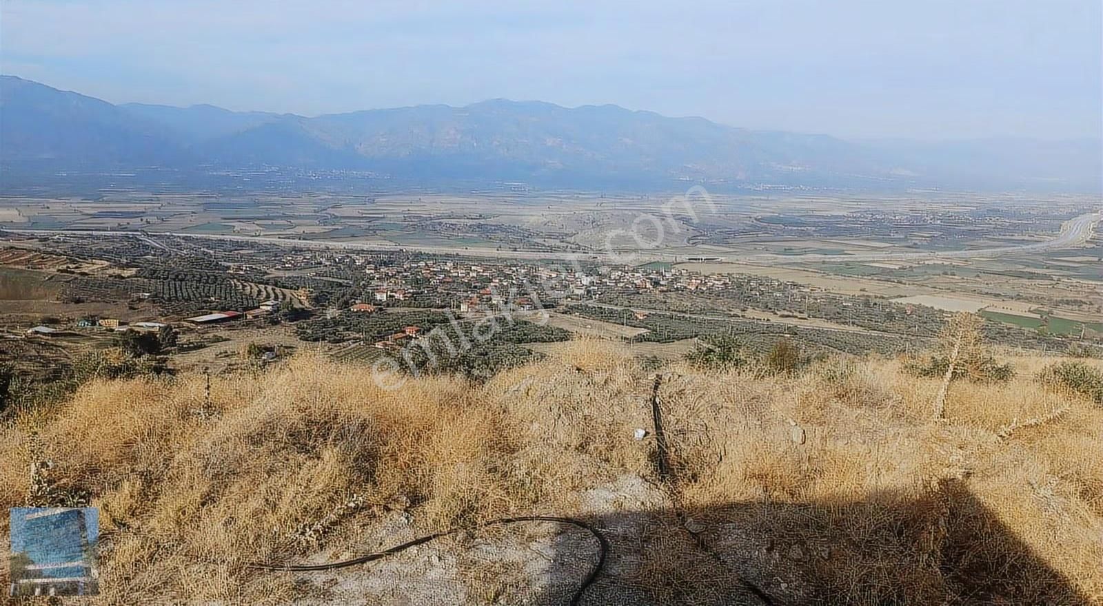 İzmir Aydın Otobanına 6 Km Mesafede Zeytinlik - Görsel 2