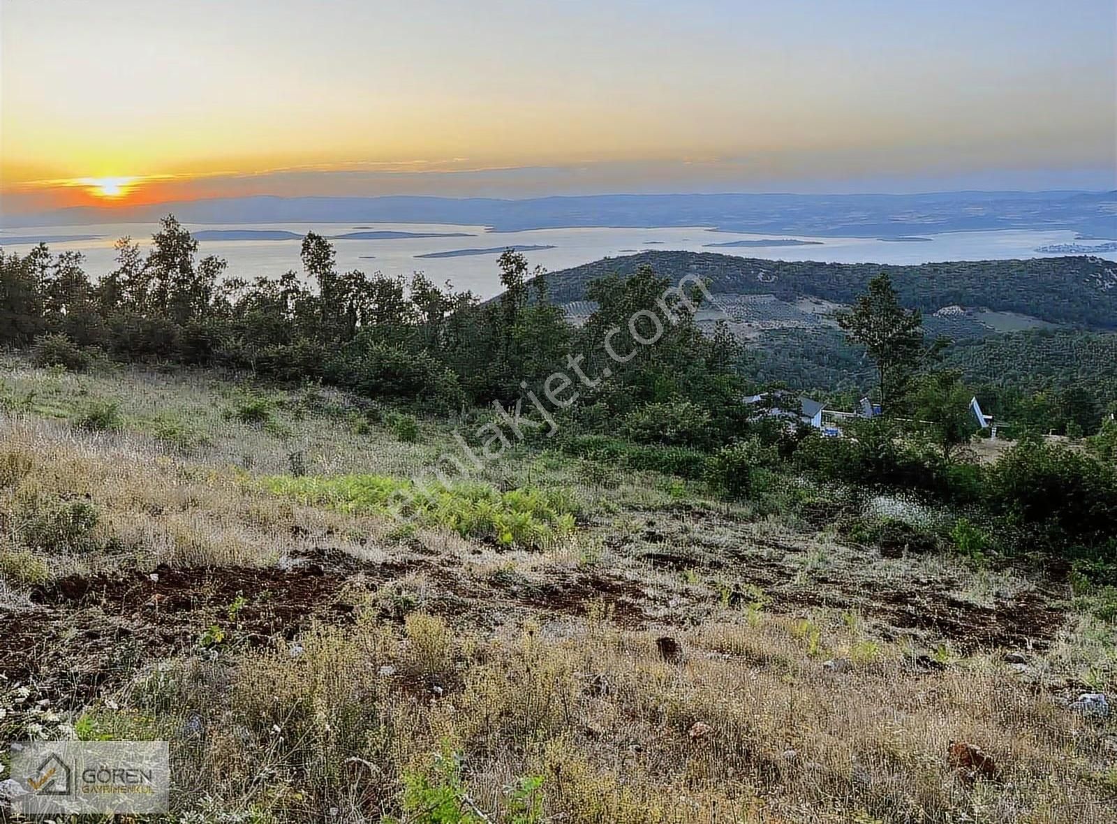 Ayva Köyde Göl Manzaralı Tarlalar - Görsel 5