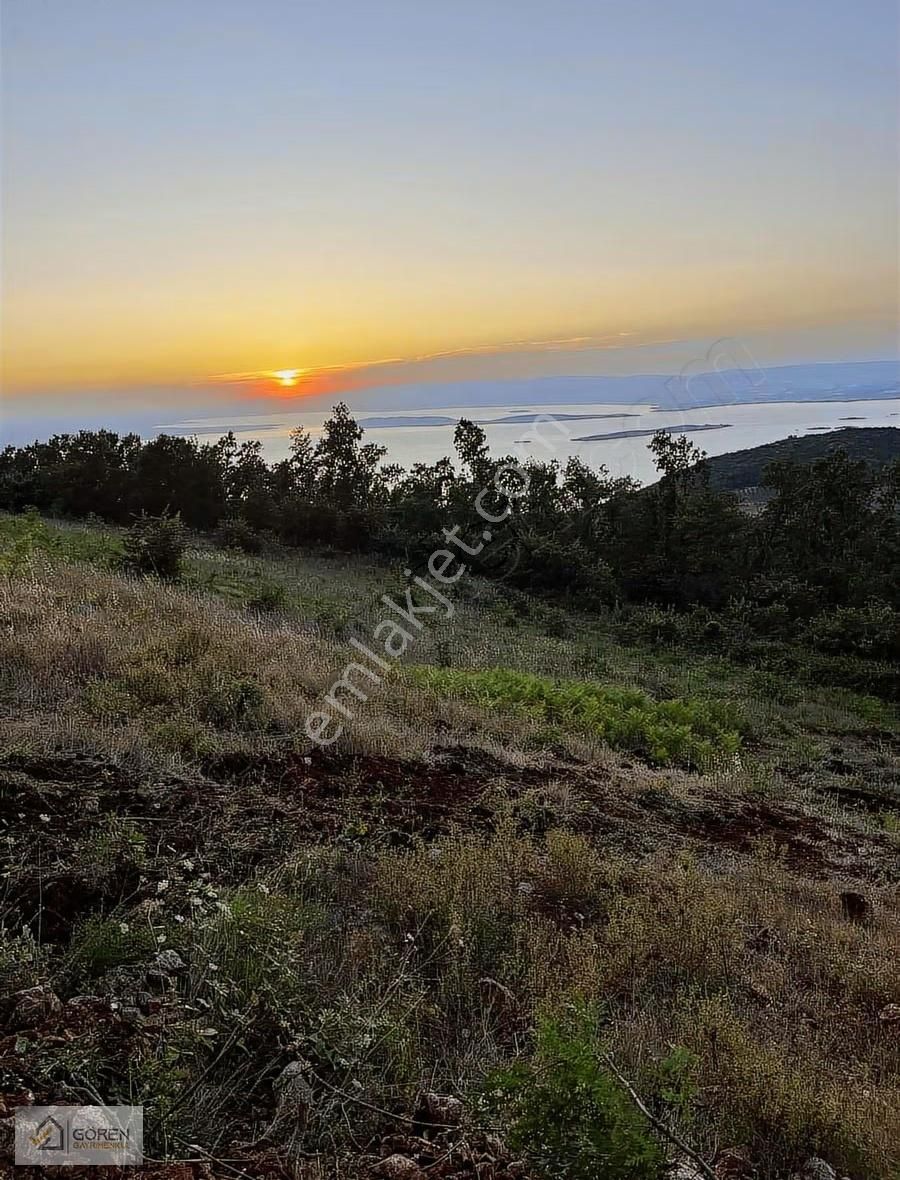 Ayva Köyde Göl Manzaralı Tarlalar - Görsel 6