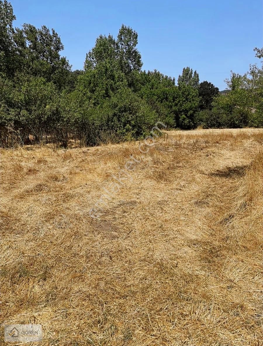 Orhaneli Nalınlar Mahallesi Köyün Girişinde Tek Tapu Tarlalar - Görsel 2
