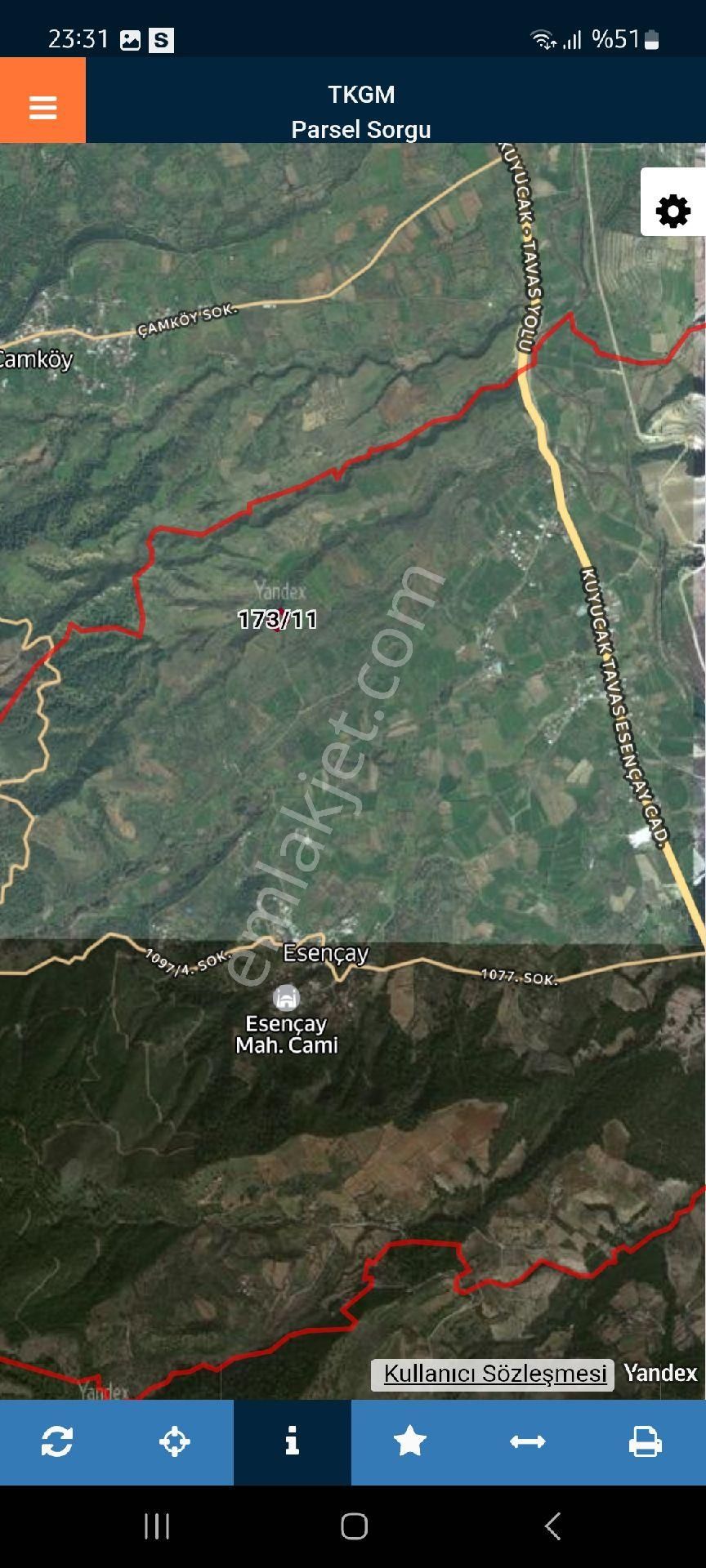 Karacasu Esençay Mah. Satılık 3.379 M2 Verimli Bakımlı Zeytinlik - Görsel 2