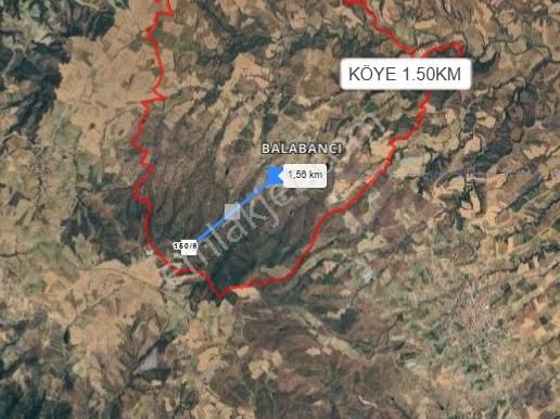 Uşak Eşme Balabancı Köyü’nde 2533 M² Tarla Satılıktır - Görsel 5