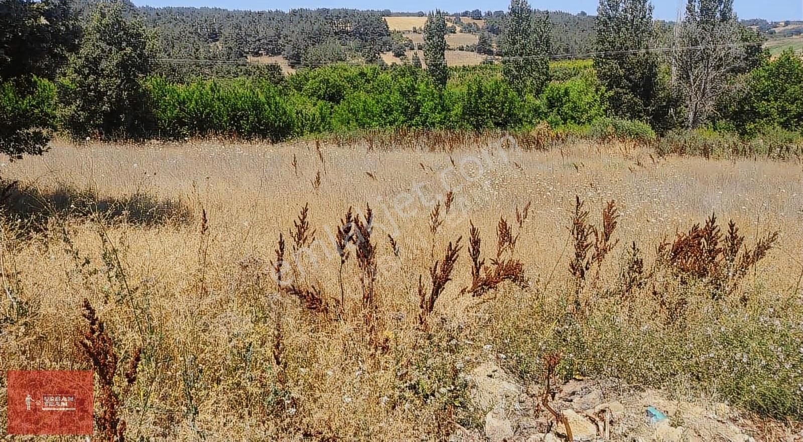 Çanakkale Lapseki Beybaş Da Yola Cepheli Kupon Tarla - Görsel 2