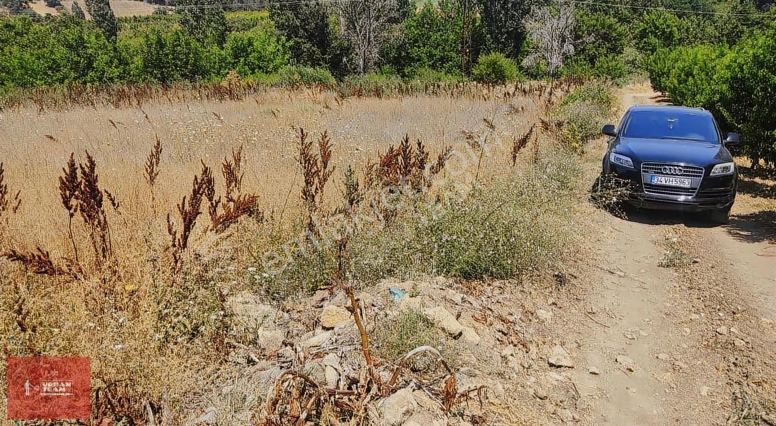 Çanakkale Lapseki Beybaş Da Yola Cepheli Kupon Tarla - Görsel 4