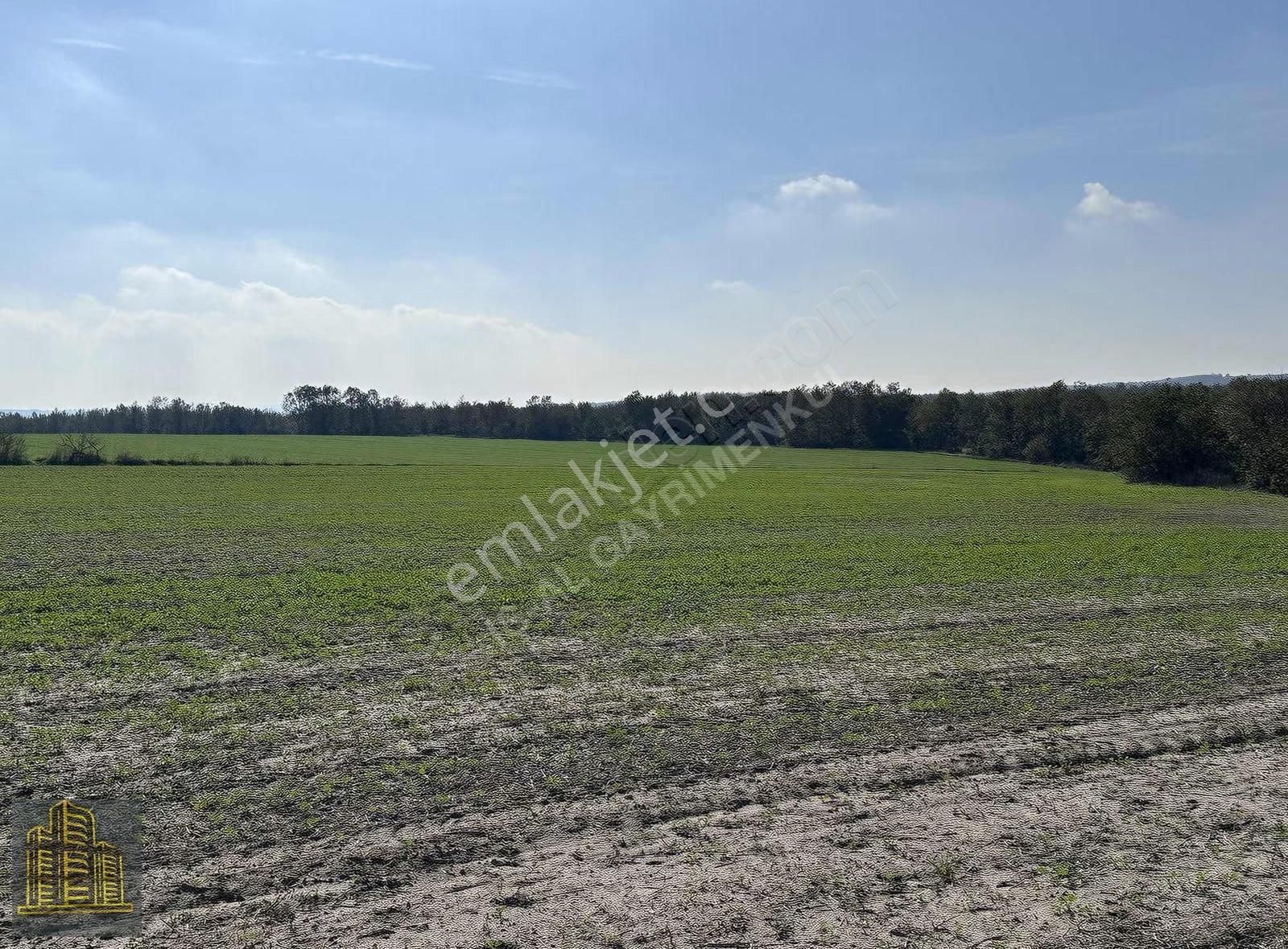 B.çavuşlu'da Tek Tapu 6.153 M2 Tarla - Yatırım Fırsatı !! - Görsel 3