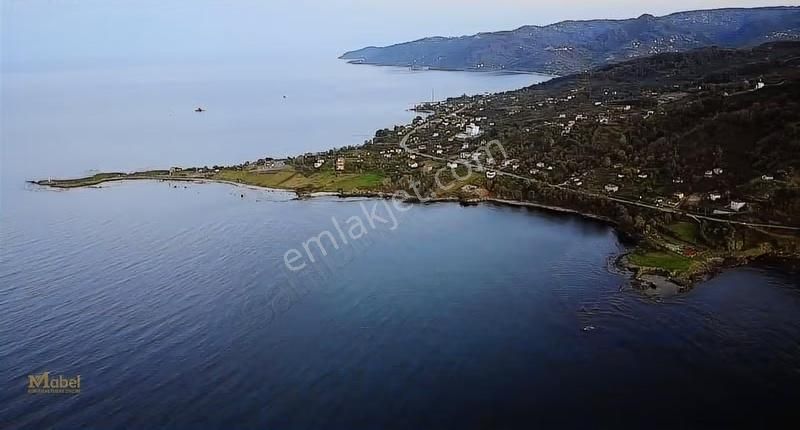 Mabelden Perşembe Çaytepe Satılık 2144 M2 Arazi - Görsel 13