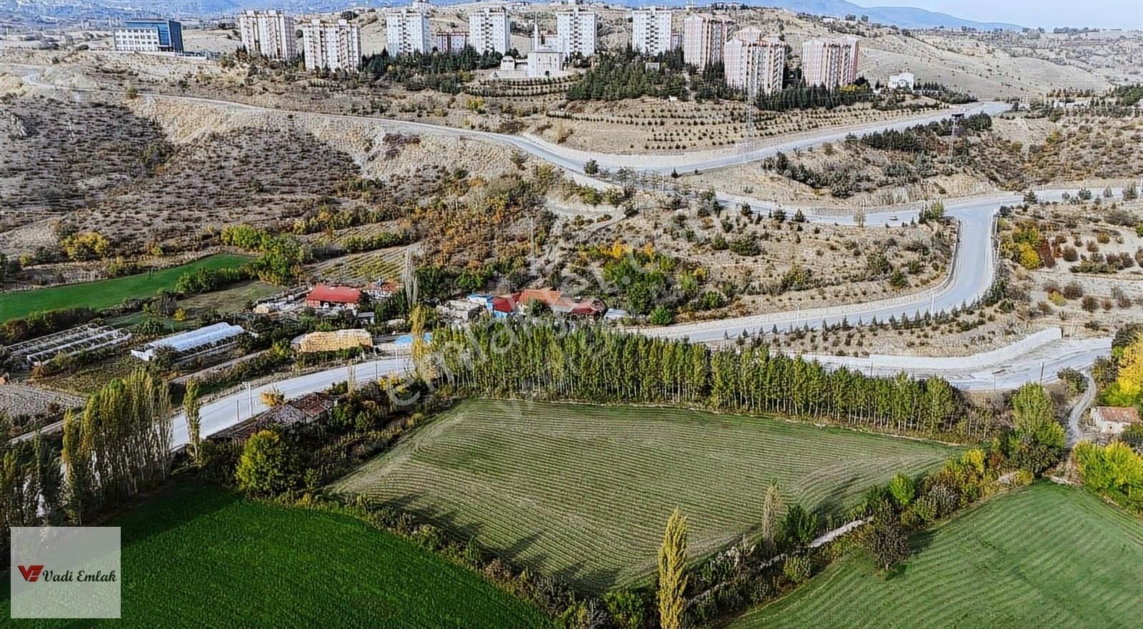 Vadi Emlak'tan Doğukent Mahallesinde Satılık 8.981 M2 Tarla - Görsel 13