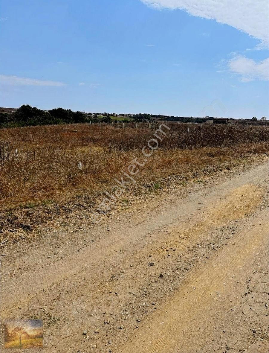 Acil İstanbul Silivri Balaban Sahibinden Satılık 200m2 Arsa - Görsel 5