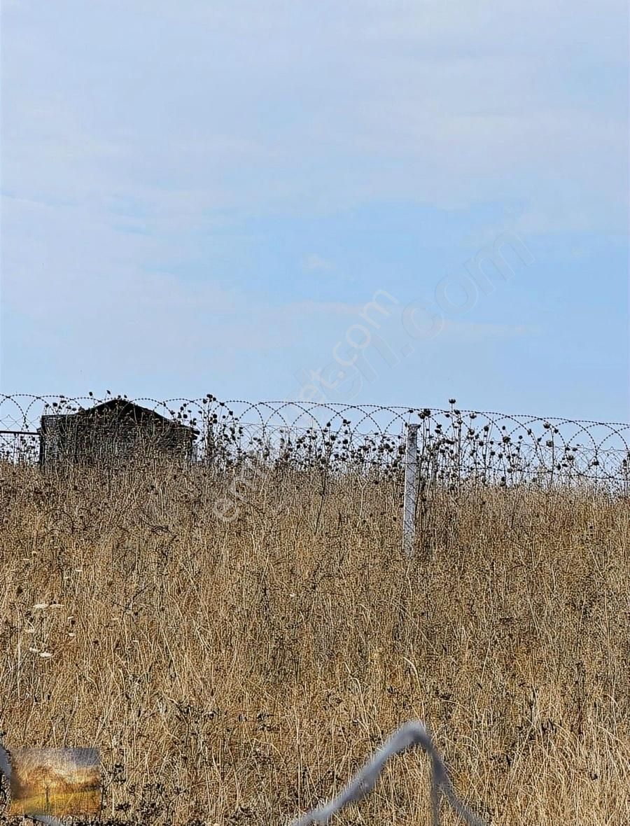 Acil İstanbul Silivri Balaban Sahibinden Satılık 200m2 Arsa - Görsel 7