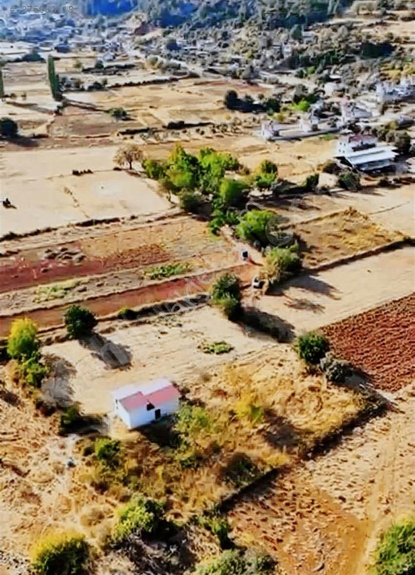 Muğla Menteşe Kuyucak Satılık İcersinde Evi Olan Tarla ! - Görsel 8