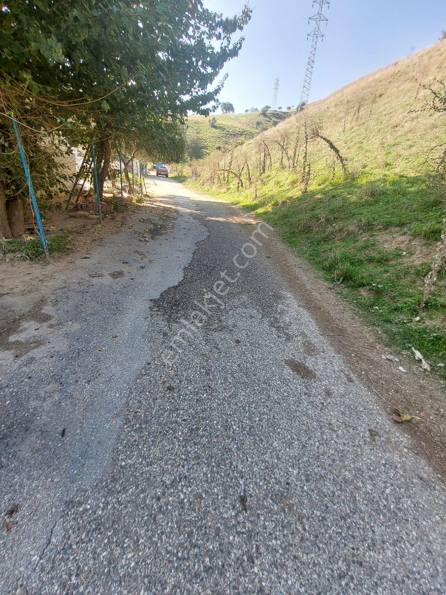 Doğru Gayrimenkulden 366 Metrekareimarlıarsa - Görsel 7