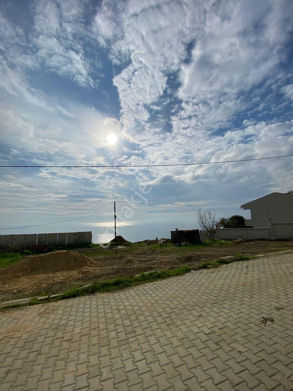 Tekirdağ Sultanköy'de Satılık İmarlı Arsa - Görsel 22