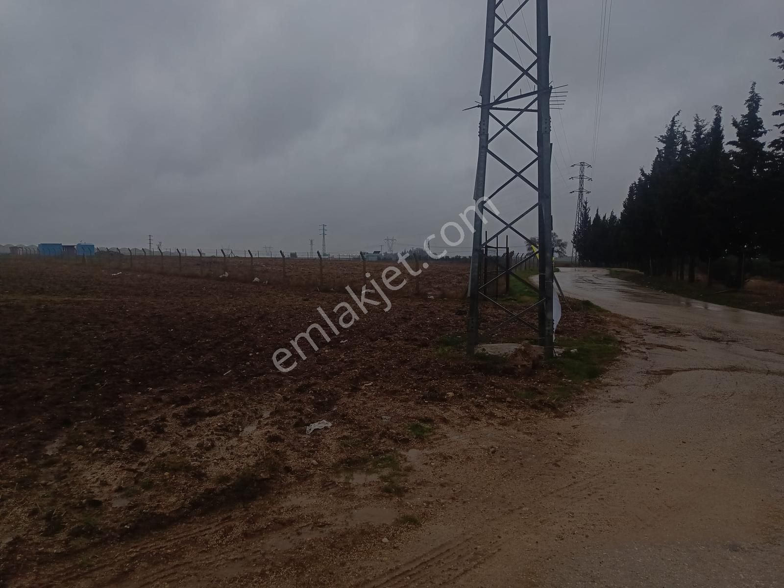 Sarıçam Yeniyaylada Tarım Hayvancılık Depo Ve Seraya Uygun Tarla - Görsel 3