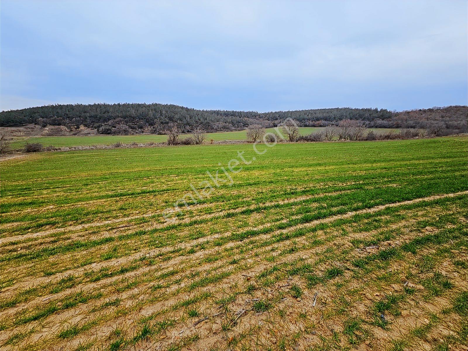 Satılık Yatırımlık Arazi Keşan Saroz Yayla Sahilinde - Görsel 23