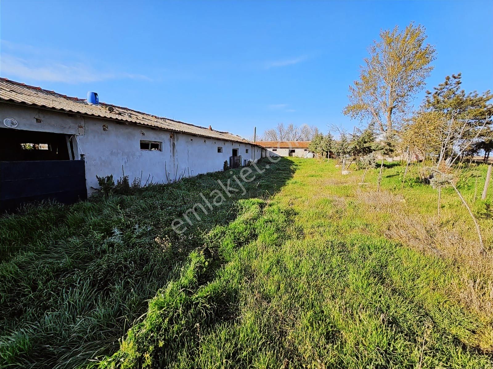 İpsala Esetçe Beldesinde Satılık Çiftlik Yeri - Görsel 28