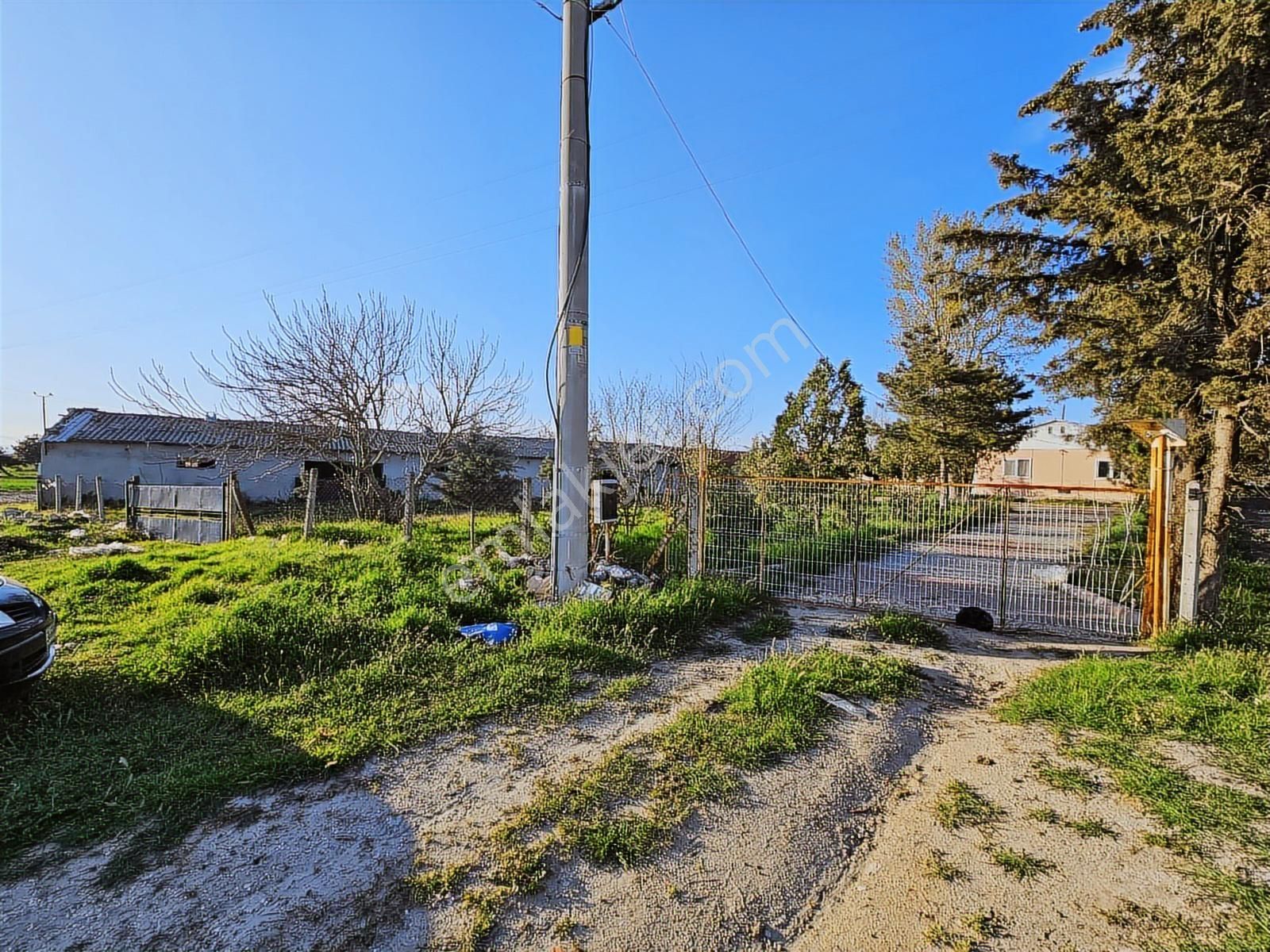 İpsala Esetçe Beldesinde Satılık Çiftlik Yeri - Görsel 34