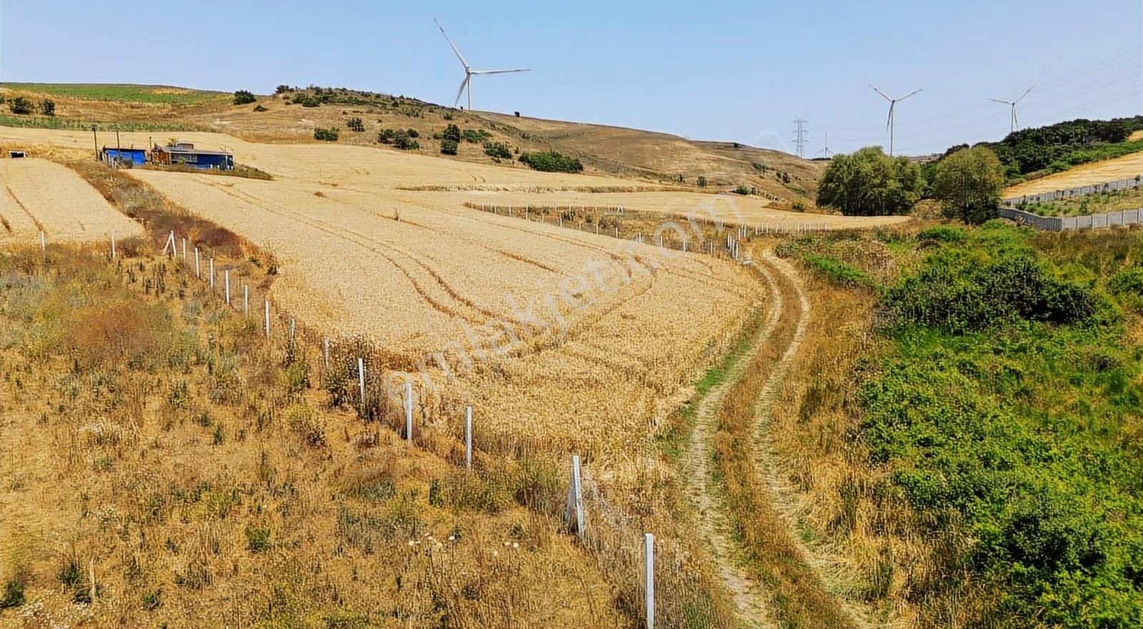 Silivri Değirmenköy Karaköy Mevkiinde Satılık M2 Hisseli Tarla