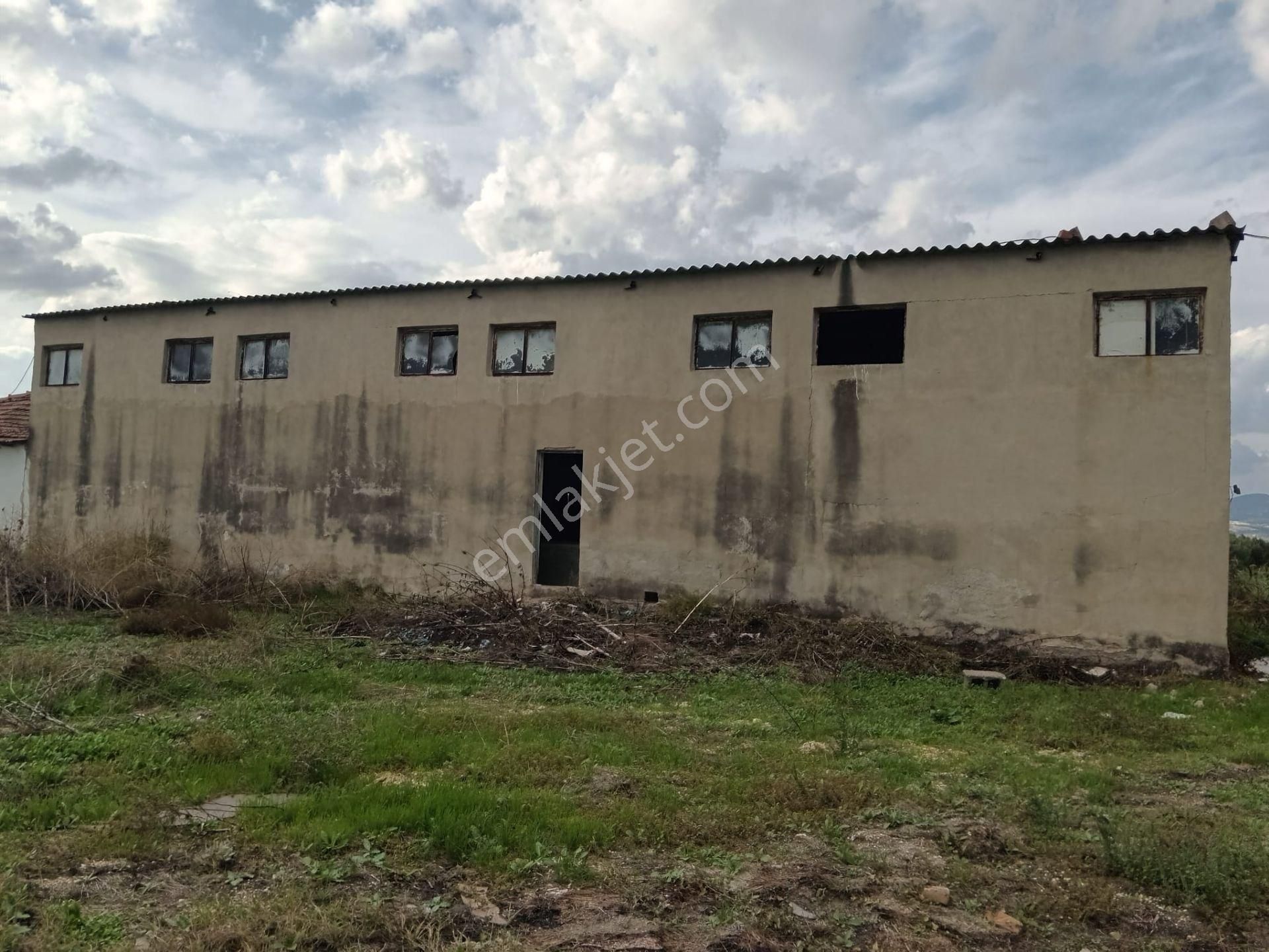 Akhisar Eroğlu Mah.satılık Çiftlik (emin'den) - Görsel 24