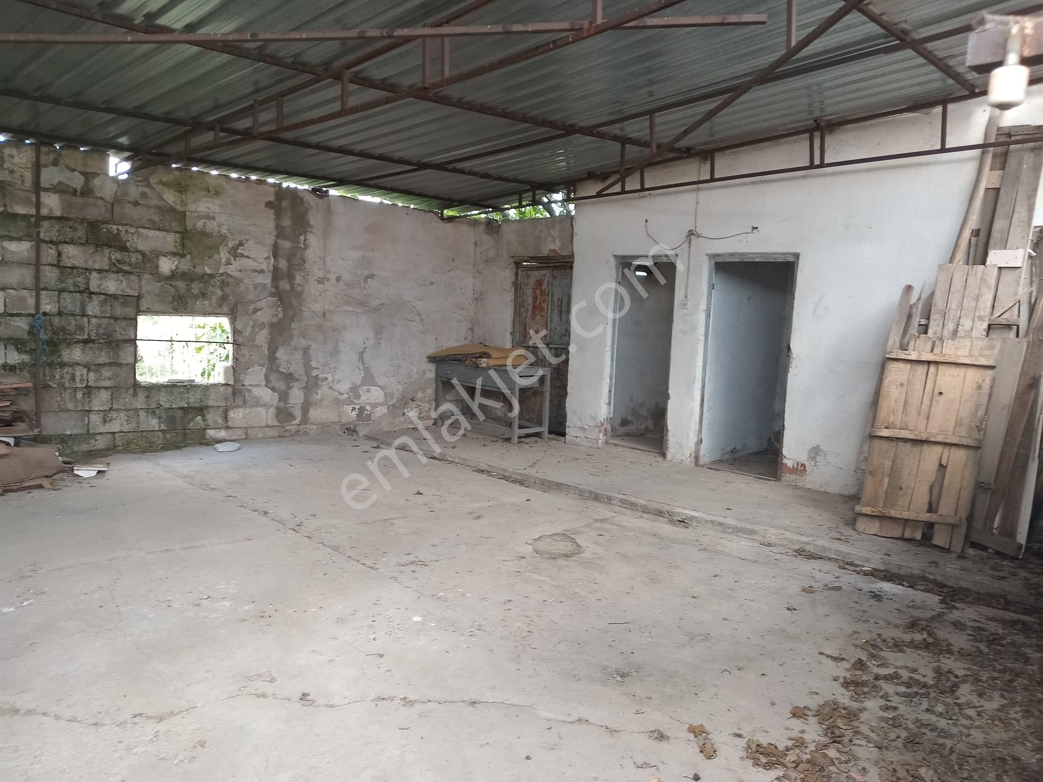 Akhisar Eroğlu Mah.satılık Çiftlik (emin'den) - Görsel 9