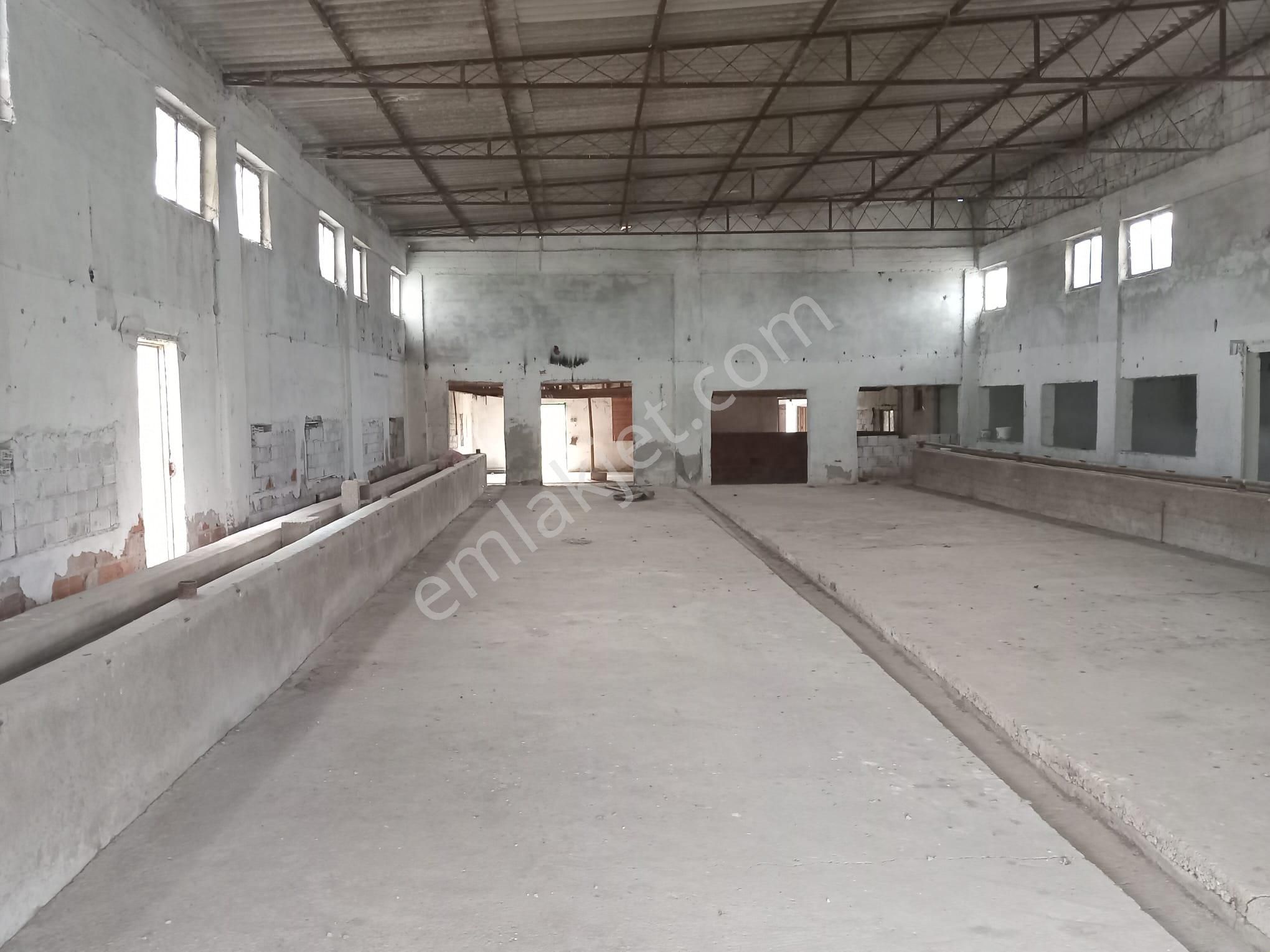 Akhisar Eroğlu Mah.satılık Çiftlik (emin'den) - Görsel 20