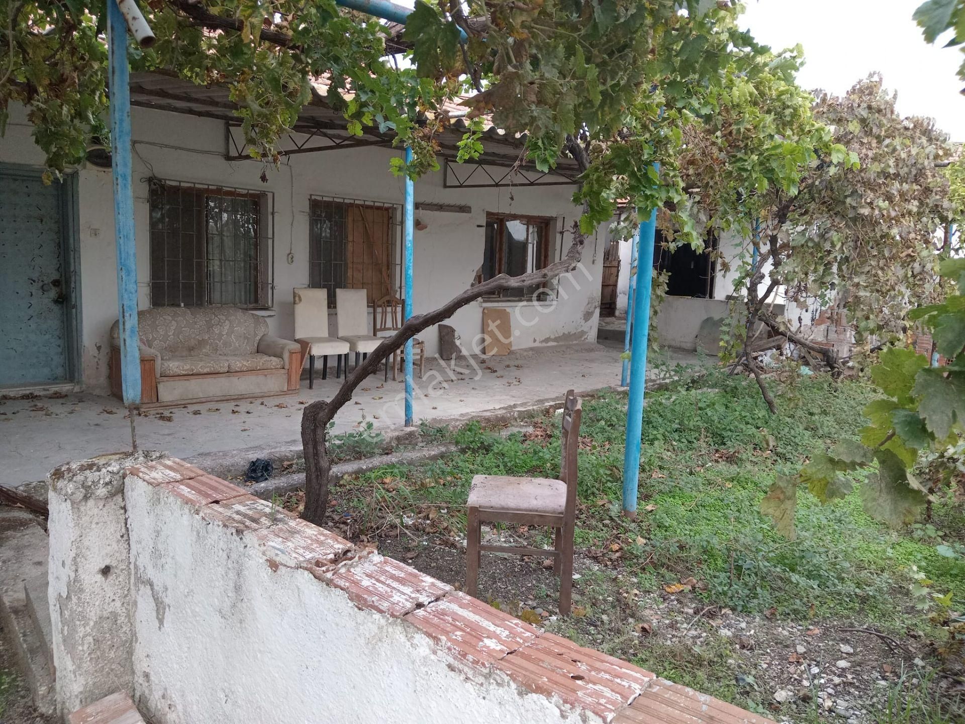 Akhisar Eroğlu Mah.satılık Çiftlik (emin'den) - Görsel 13