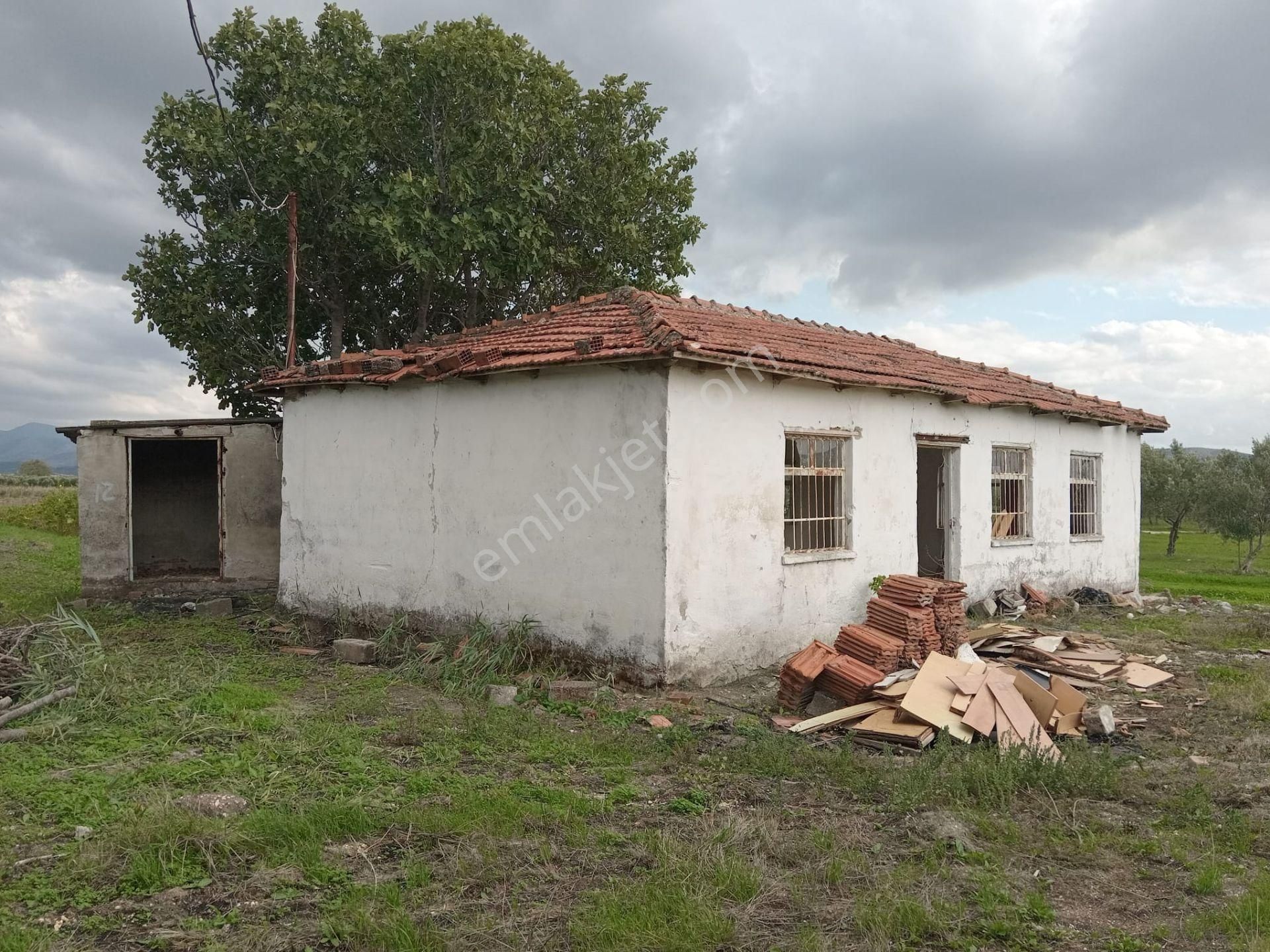 Akhisar Eroğlu Mah.satılık Çiftlik (emin'den) - Görsel 21