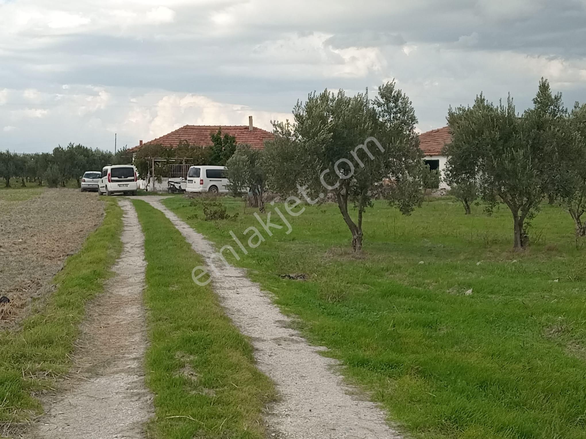 Akhisar Eroğlu Mah.satılık Çiftlik (emin'den) - Görsel 18