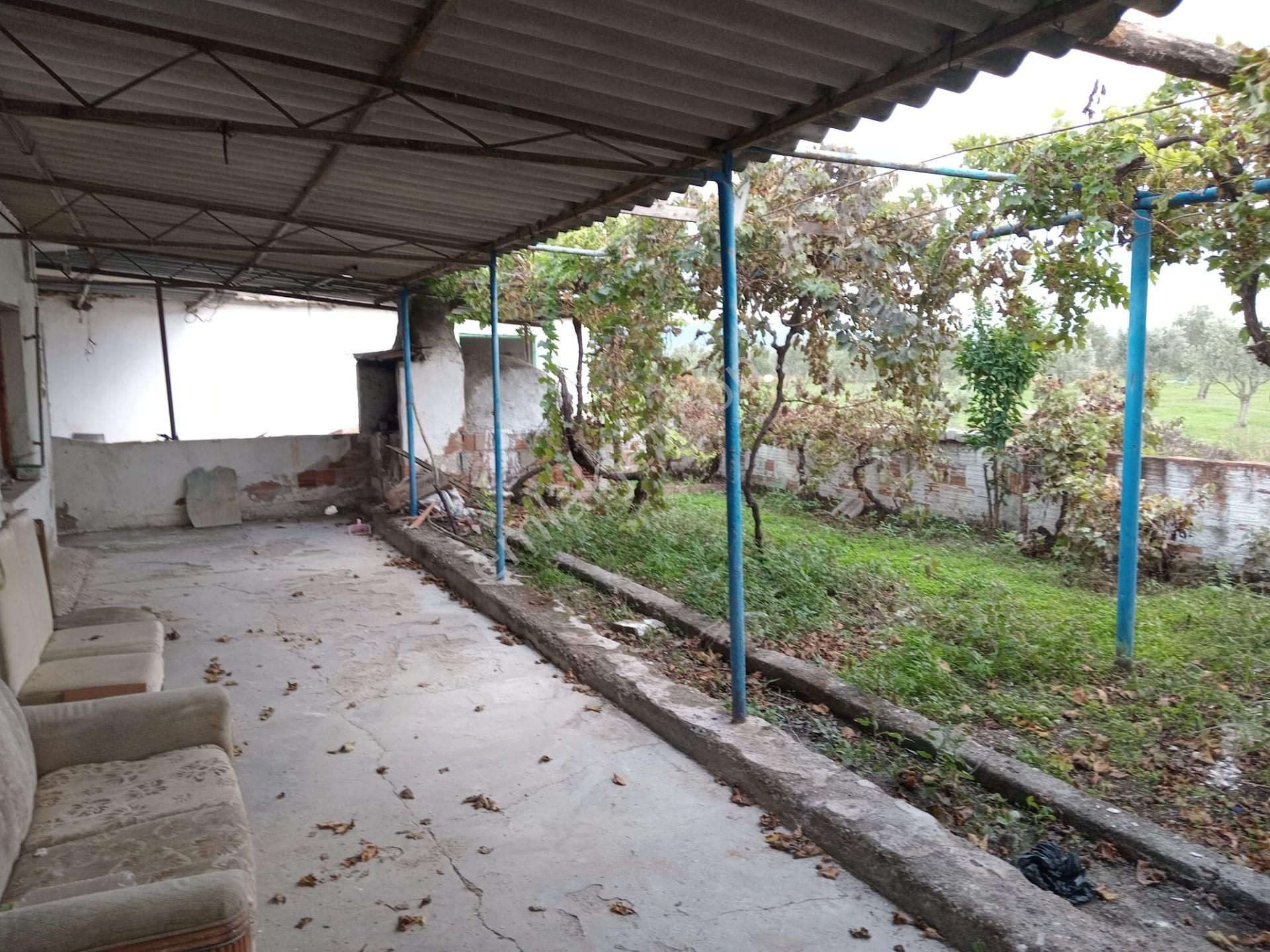 Akhisar Eroğlu Mah.satılık Çiftlik (emin'den) - Görsel 5