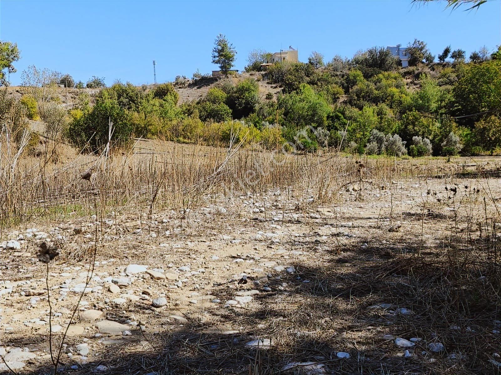 Boran Gayrimenkul Den Karaisalı Merkeze 1 Km. Mesafede Tek Tapu - Görsel 7