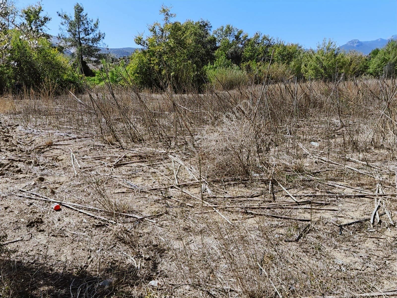 Boran Gayrimenkul Den Karaisalı Merkeze 1 Km. Mesafede Tek Tapu - Görsel 9