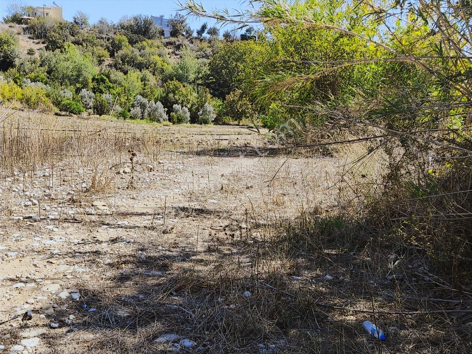 Boran Gayrimenkul Den Karaisalı Merkeze 1 Km. Mesafede Tek Tapu - Görsel 8