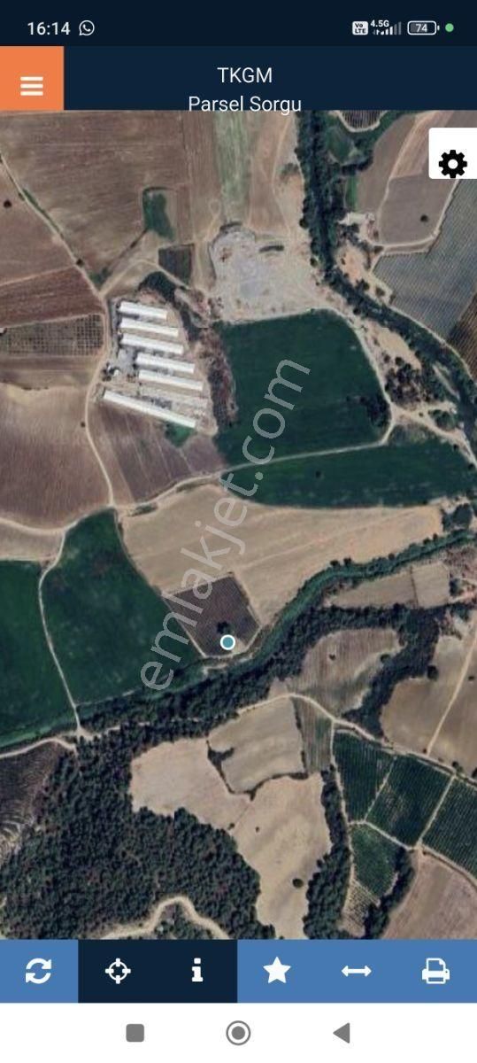 Boran Gayrimenkul'den Kaşobada Satılık Kiraz Bahçesi - Görsel 16