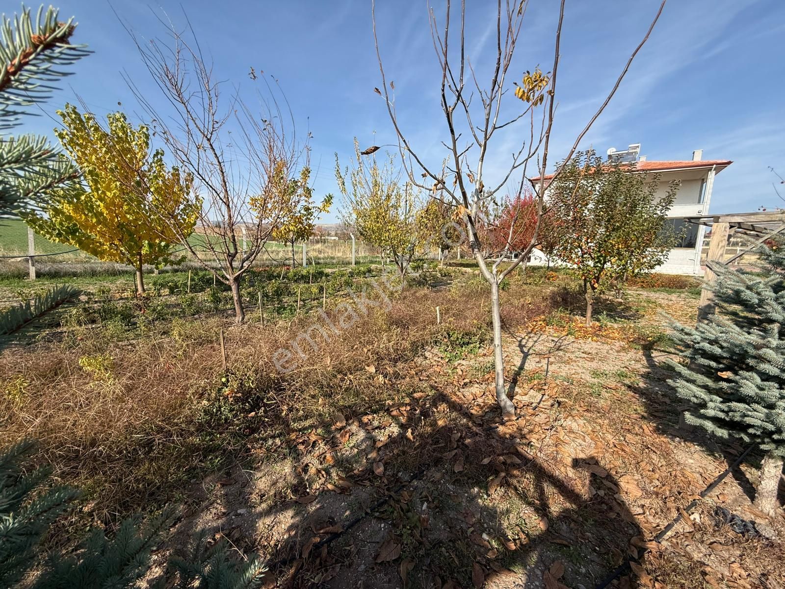 Rıza Acar'dan Örencik Mahallesinde 4+2 1266m² Tek Tapu Müstakil - Görsel 7