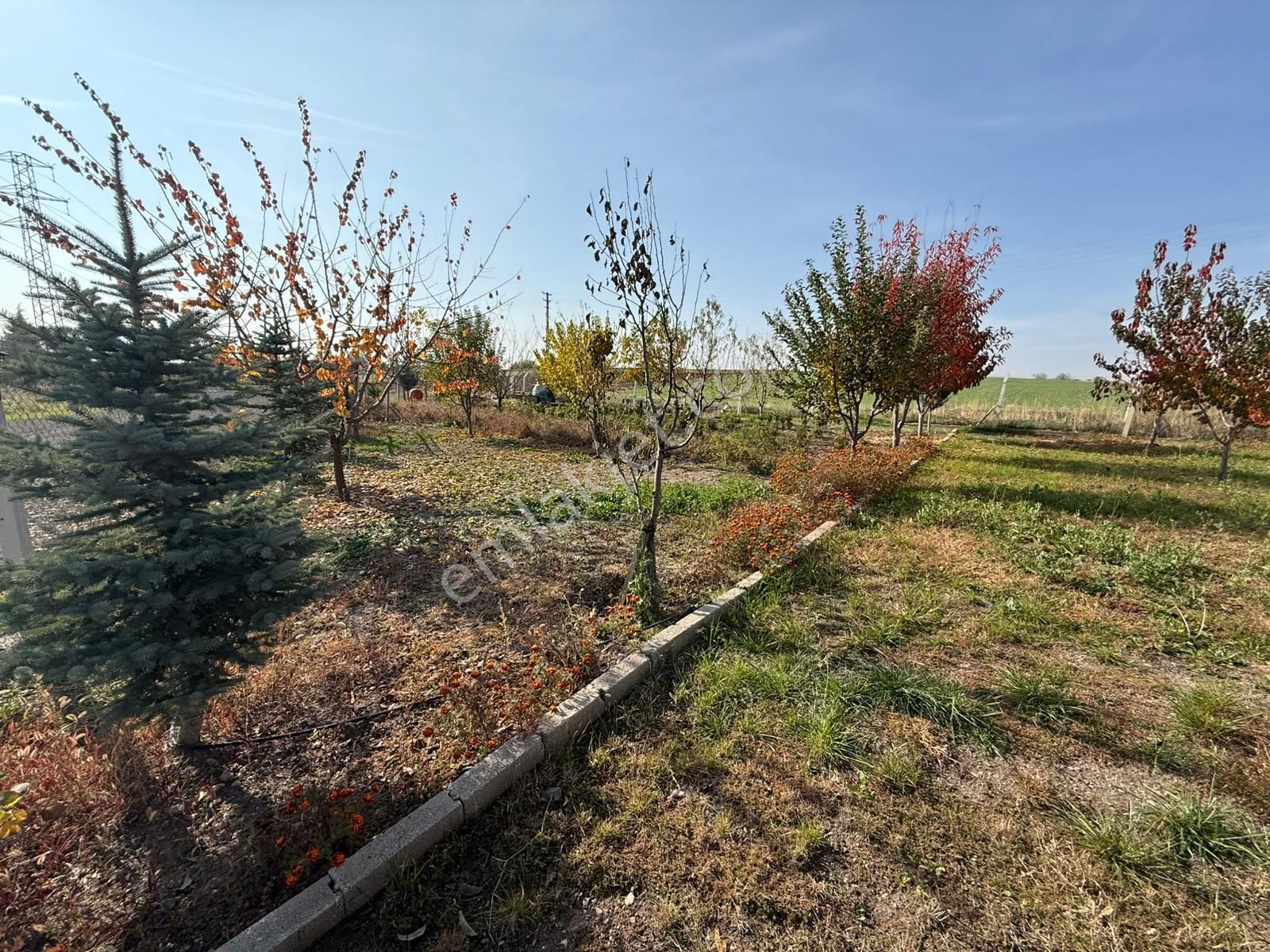 Rıza Acar'dan Örencik Mahallesinde 4+2 1266m² Tek Tapu Müstakil - Görsel 4