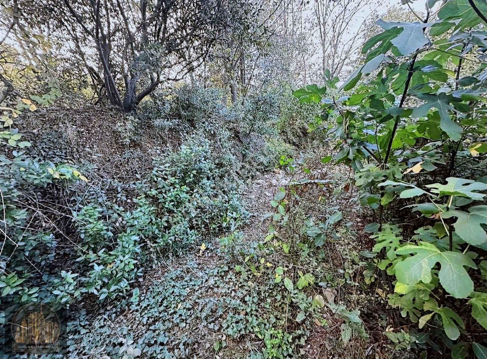 Globus'tan Gümüştepede Müstakil Villa İmarlı Satılık Arsa - Görsel 8