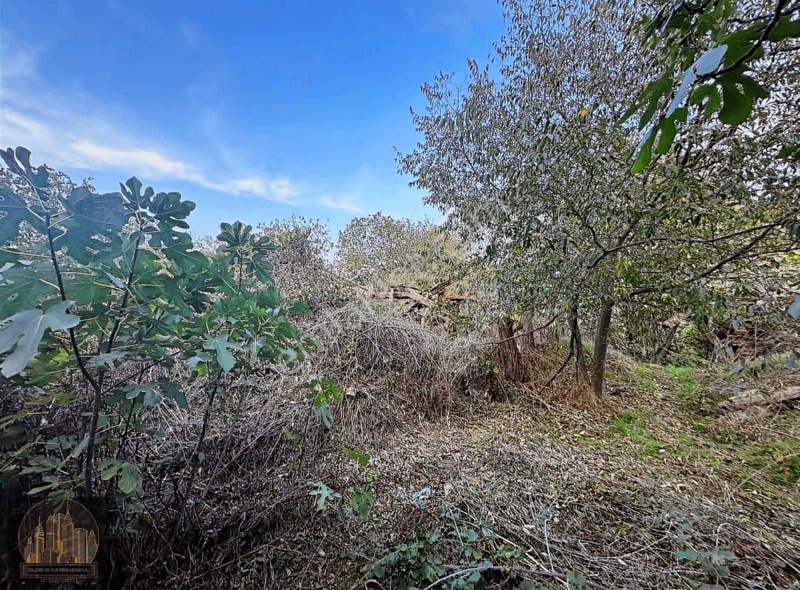 Globus'tan Gümüştepede Müstakil Villa İmarlı Satılık Arsa - Görsel 10