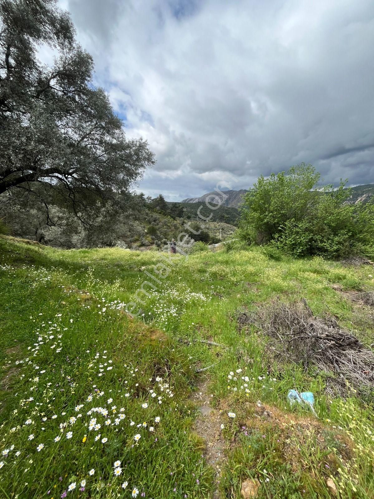 Milas Kayabaşı Mah Satılık Bahçe - Görsel 2