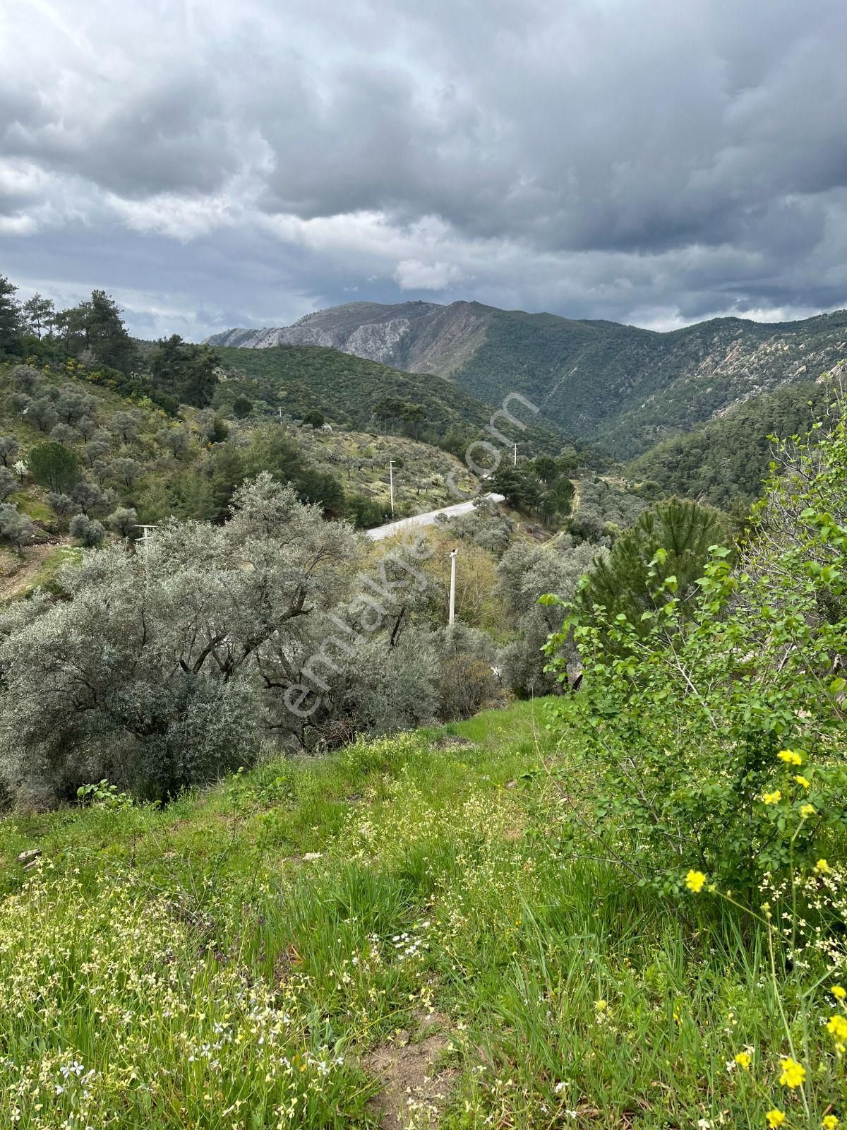 Milas Kayabaşı Mah Satılık Bahçe - Görsel 4